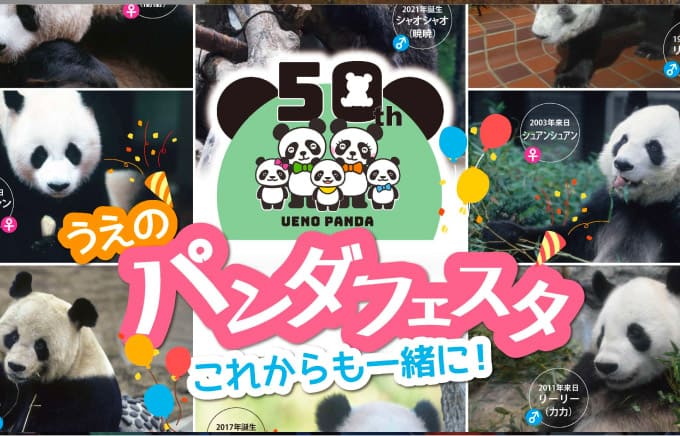 パンダフェスタ