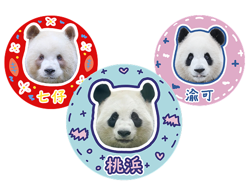 シールをあつめる！