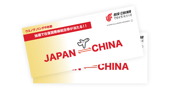 中国国際航空 往復航空券
