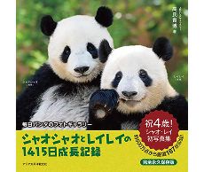パンダ写真集