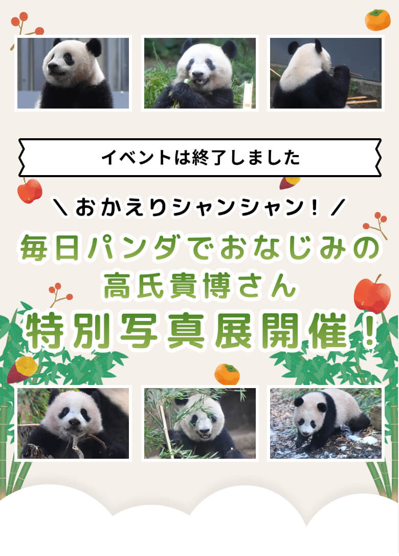 高氏ページ - Panda Expo
