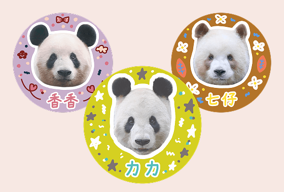 シールをあつめる！